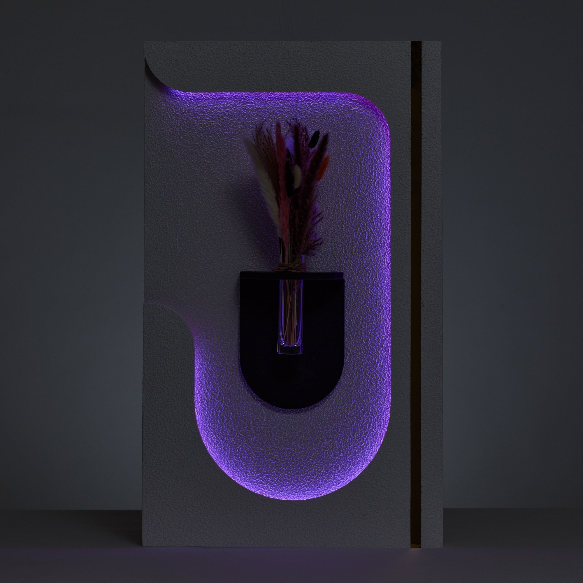 Phoenix WC001